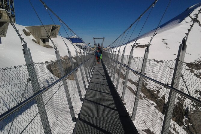 Alpine Majesty:Exclusive Private Tour to Mount Titlis from Basel - Visiting Mount Titlis: Ice-Cave and Spectacular Views