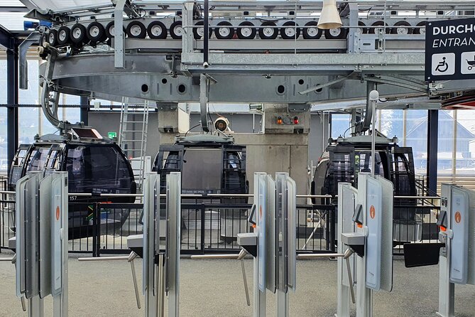 Alpine Majesty:Exclusive Private Tour to Mount Titlis from Basel - Tour Highlights and Unique Activities