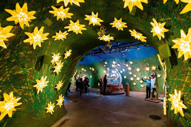 Alpine Majesty:From Zürich to Jungfraujoch Exclusive Private Tour - Starting Point in Zurich: Pickup and Departure