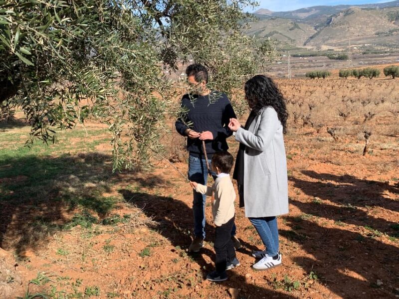 Alpujarra of Almería: Organic Wine tour and local aperitif - Seasonal Display of 52 Table Grape Varieties
