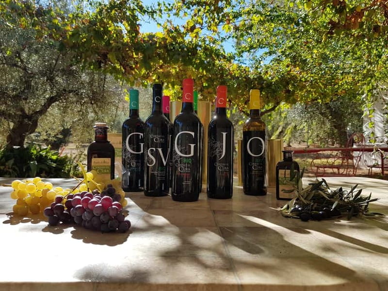 Alpujarra of Almería: Organic Wine tour and local aperitif - Frequently Asked Questions