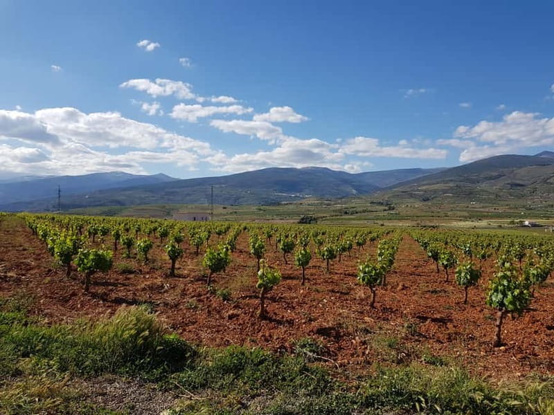 Alpujarra of Almería: Organic Wine tour and vegan aperitif - Practical Details and Accessibility