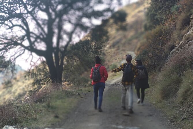 Alpujarra Private DayTrip from Granada - Exploring Pampaneira’s Unique Architecture and Local Crafts