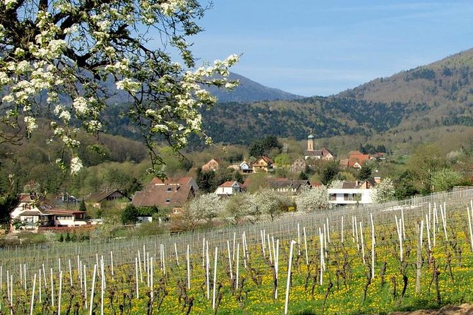 Alsace 4 Wonders Small-Group Day Trip from Colmar - Discovering the Four Wonders of Alsace: Eguisheim, Kaysersberg, Ribeauvillé, and Riquewihr