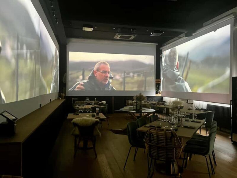 Alsace: Alsatian Wine Tasting Tour and Alsatian Lunch - Discovering the Historic Gertwiller Winery