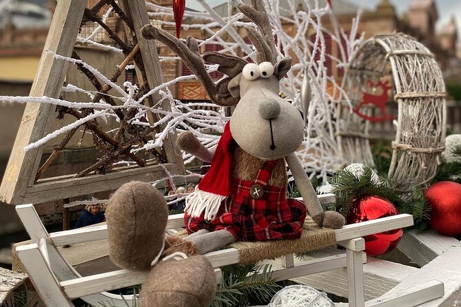 Alsace Christmas Markets & Fairy Tale Villages Private Tour from Strasbourg - Practical Details and Booking Flexibility