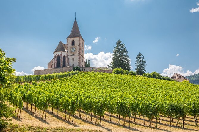 Alsace Full Day Wine Tour from Colmar - Starting Point and Meeting Details in Colmar