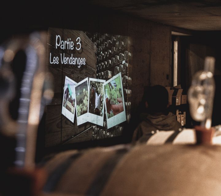 Alsace: Guided Wine Tasting and Cellar Visit - The Experience in Gertwiller’s Charming Setting