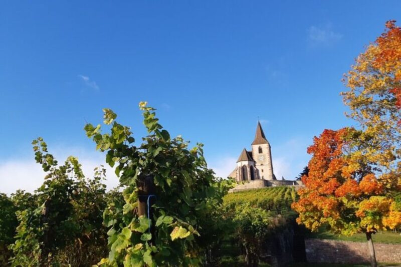 Alsace: Half-Day Wine Tour from Colmar - Riquewihr: The Pearl of the Vineyards