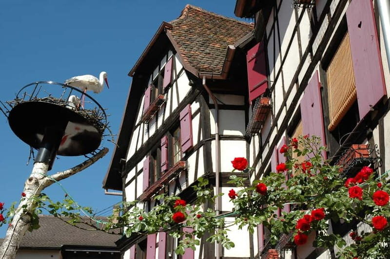 Alsace Half-Day Wine Tour from Strasbourg - Departure and Pickup at Strasbourg’s Main Station