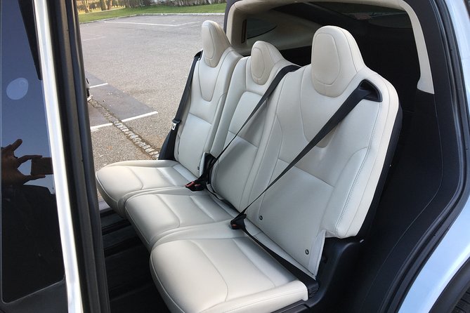 Alsace Private Tailored Tour in a Luxury Car - Luxury Transportation in a Tesla: Comfort and Style