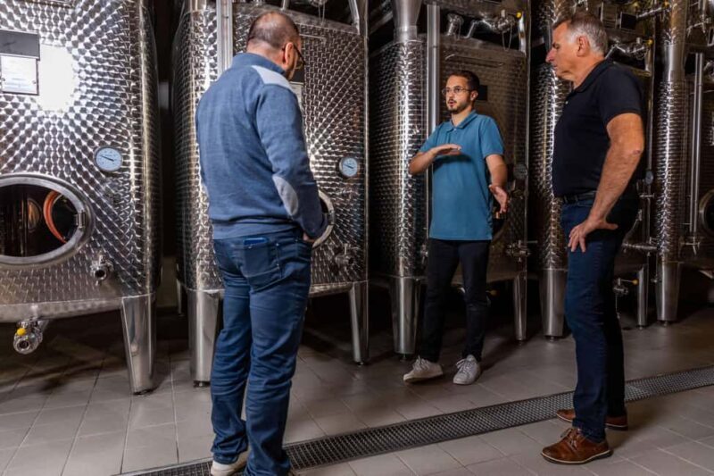 Alsace: Visit and Wine Tasting at Domaine Pierre Adam - Tasting of Five Premium Alsace Wines