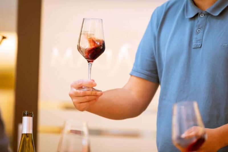 Alsace: Visit and Wine Tasting at Domaine Pierre Adam - How This Experience Compares to Other Alsace Tours