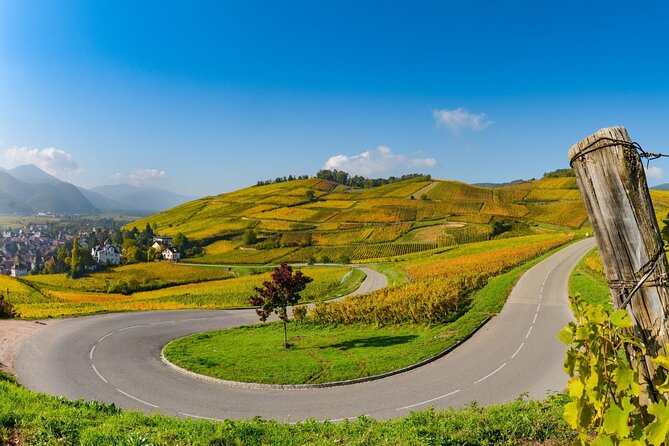 Alsace Wine Route Small Group Half-Day Tour with Tasting from Strasbourg - Expert Guides and Personalized Experience