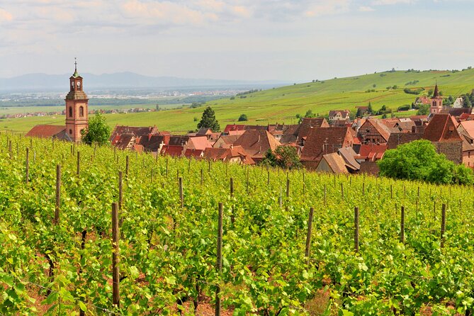 Alsace Wine Route Small Group Half-Day Tour with Tasting from Strasbourg - The Atmosphere of Alsace Wine Cellars