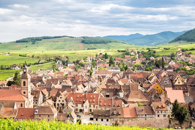 Alsace Wine Route Small Group Half-Day Tour with Tasting from Strasbourg - Timing, Pacing, and Flexibility