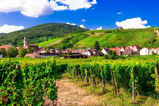 Alsace Wine Route Small Group Half-Day Tour with Tasting from Strasbourg - Value for Money and Booking Details