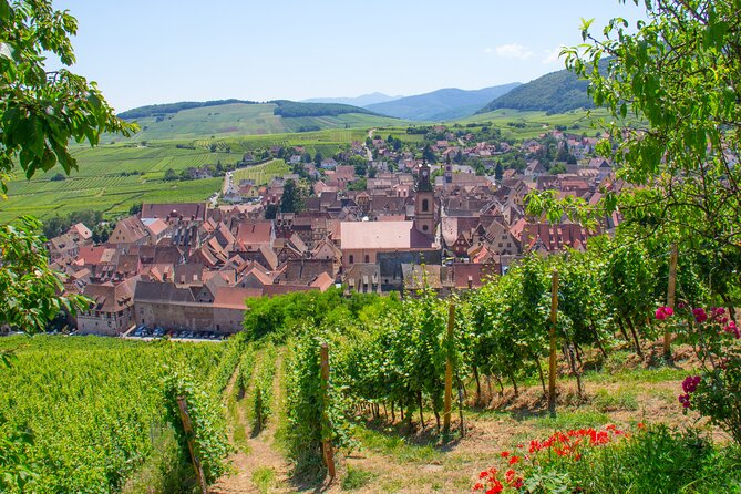 Alsace Wine Route Wineries & Tasting Small Group Guided Tour from Strasbourg - Wine Tastings at Selected Wineries