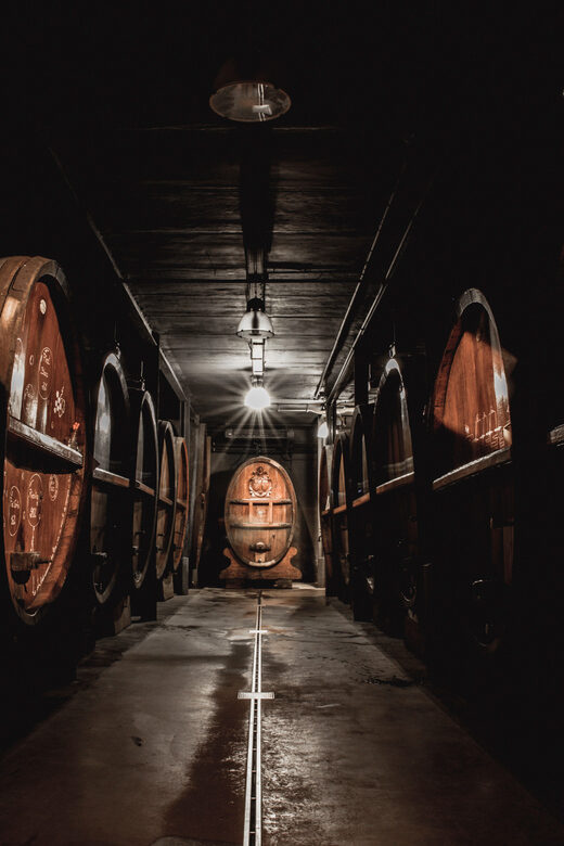 Alsace: Wine Tasting and Gourmet Christmas Lunch - Discover the Charm of Alsace Wine in a Historic Family Winery