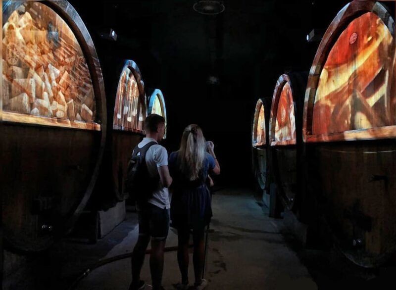 Alsace: Wine Tasting and Gourmet Christmas Lunch - Sampling Five Distinctive Alsatian Wines