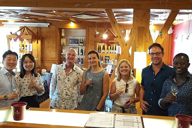 Alsace wine tour and medieval villages. Small group guided tour - Key Points