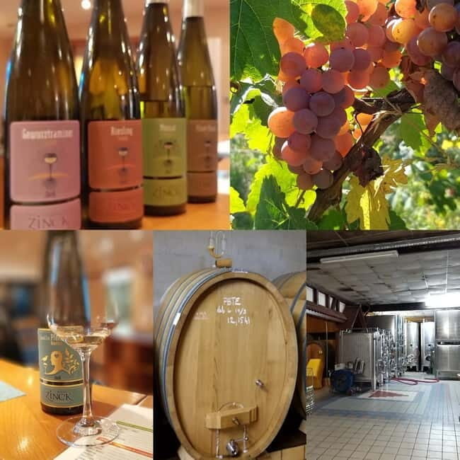 Alsace wine tour & medieval villages small group guided tour - Discover the Alsace Wine Region from Colmar or Basel