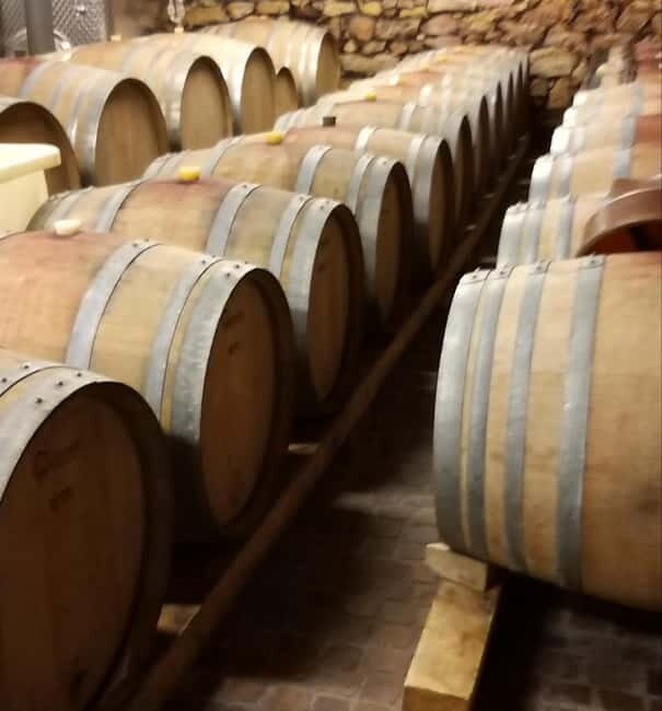 Alsace wine tour & medieval villages small group guided tour - Visiting the Schoenenbourg Grand Cru Vineyard