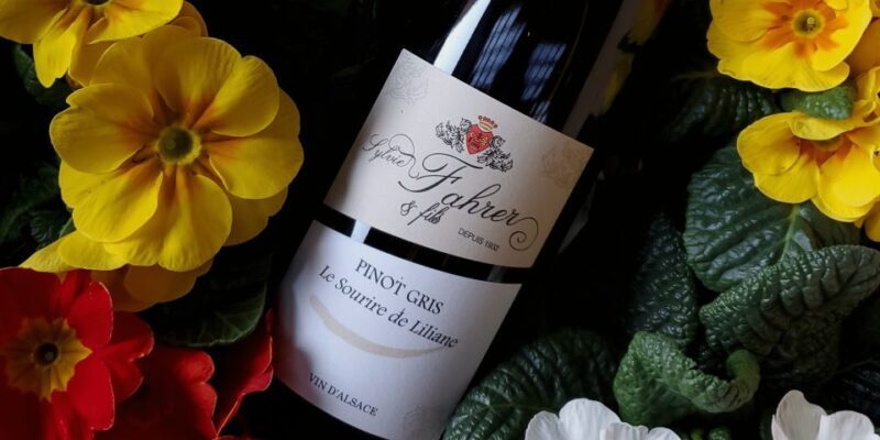 Alsace: Winery Tour and Alsatian Wine Tasting - A Close Look at the Sylvie Fahrer et Fils Winery