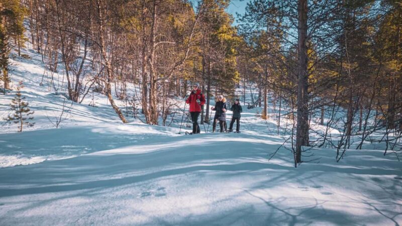 Alta: Easy Guided Snowshoe Hike with Bonfire - Key Points