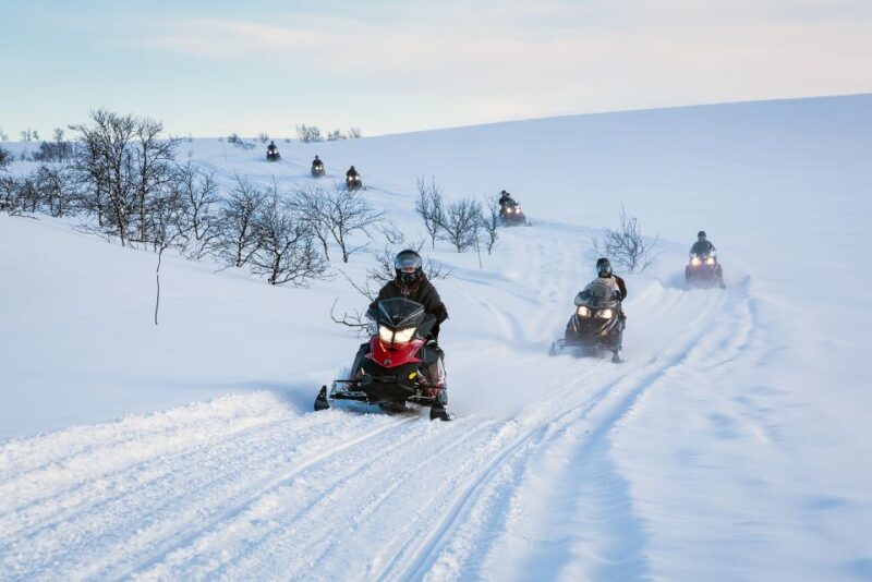 Alta: Guided Snowmobile Safari on Finnmarksvidda With Snacks - Witnessing Arctic Wildlife and Local Activities