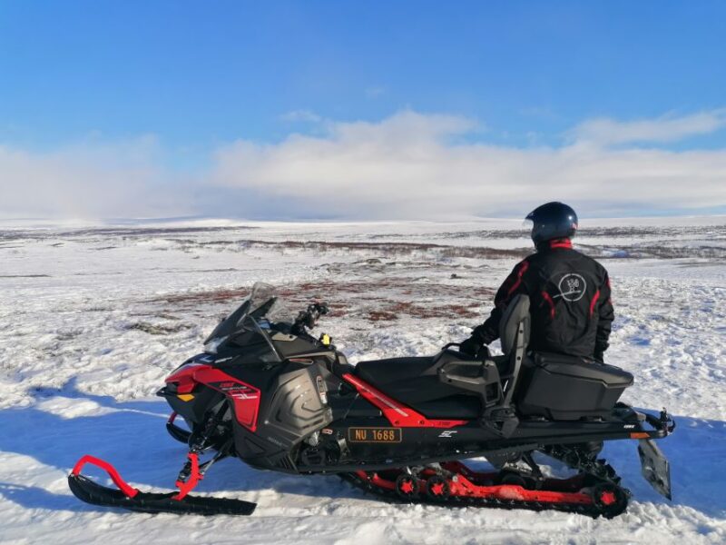 Alta: Guided Snowmobile Safari on Finnmarksvidda With Snacks - The Experience of Arctic Wilderness and Scenic Stops