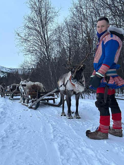 Alta: Reindeer Ride - The Reindeer Sled Ride Through Snowy Landscapes