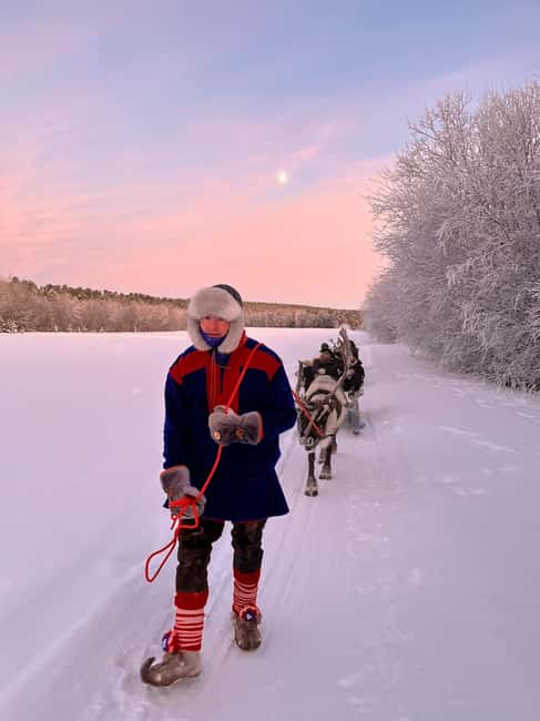 Alta: Reindeer Ride - Practical Details: What to Bring and Accessibility