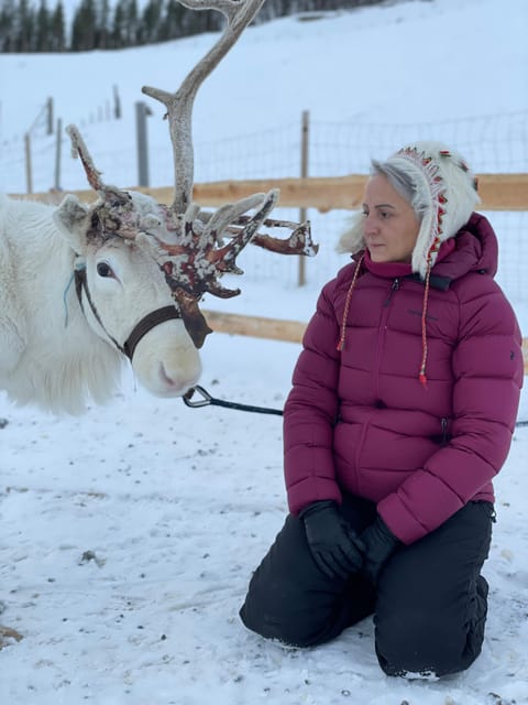 Alta: Sami Cultural experience - Lavvu - Reindeers - Interaction with Reindeers: A Highlight of the Experience
