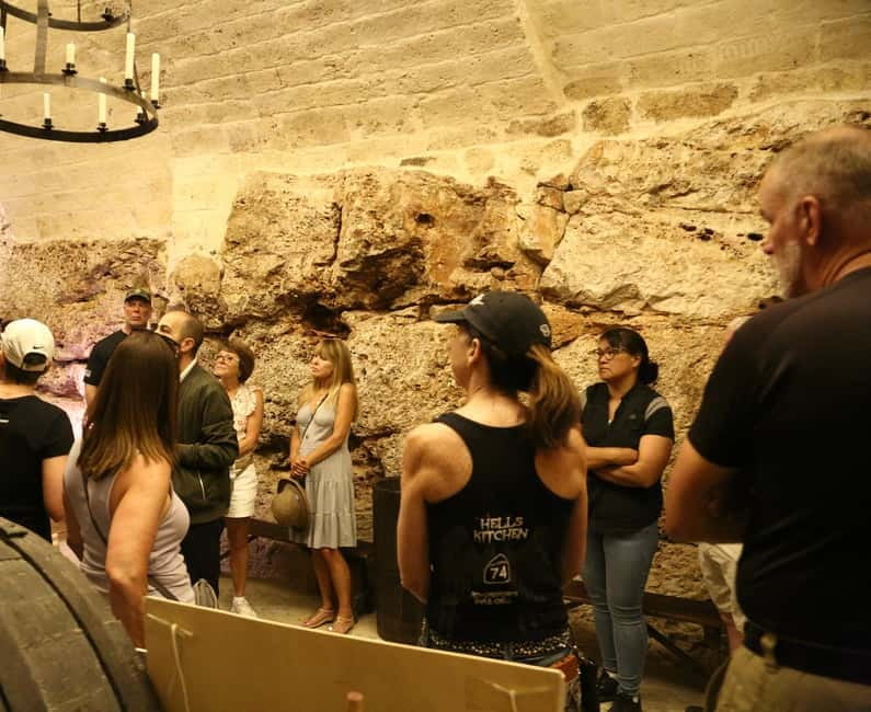 Altamura: Wine Museum Guided Tour with Tasting - The Role of the Guides in Enhancing the Experience