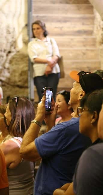 Altamura: Wine Museum Guided Tour with Tasting - Food Pairings: Local Cheeses and Cold Cuts