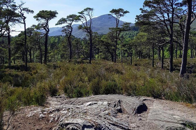 Alternative Loch Ness Tour by Secret Highlands - Starting from Inverness: The Tour’s Meeting Point and Convenience