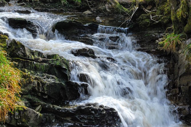 Alternative Loch Ness Tour by Secret Highlands - Practical Details and What’s Not Included