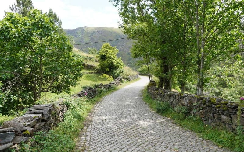 ALVÃO SHEPHERD'S HIKE - Explore the Authentic Spirit of Portugal on the Alvão Shepherds Hike