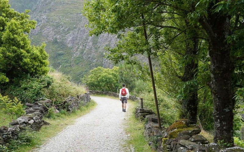 ALVÃO SHEPHERD'S HIKE - Discover the Landscapes of the Alvão and Marão Mountains