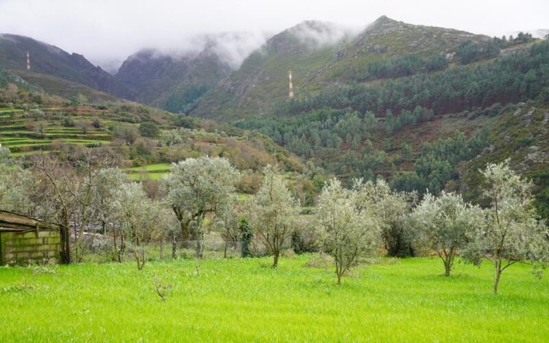 ALVÃO SHEPHERD'S HIKE - Physical Requirements and Practical Tips