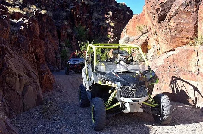 Always Private Group You Drive UTV Off Road 3 Hours. Near Vegas - Exploring the Mojave Desert with a Private Guide