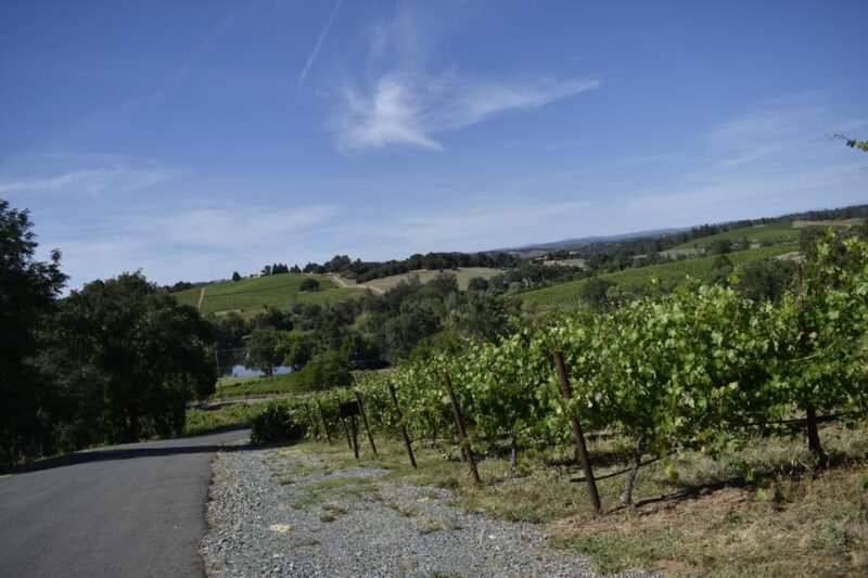 Amador County Wine Tasting Tour Private Tour 1 To 14 Group - Multilingual Guides and Customer Support