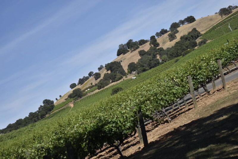 Amador County Wine Tasting Tour Private Tour 1 To 14 Group - Who Should Consider This Private Wine Tour