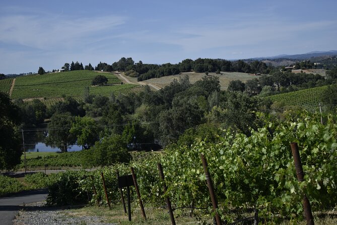 Amador County Wine Tasting Tours max 14 pax Private Wine Tours - Flexibility and Cancellation Policy
