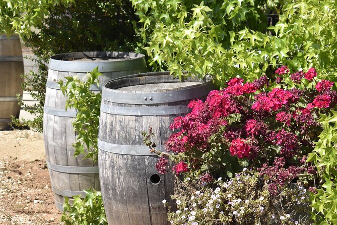 Amador County Wine Tasting Tours max 14 pax Private Wine Tours - What Set This Tour Apart