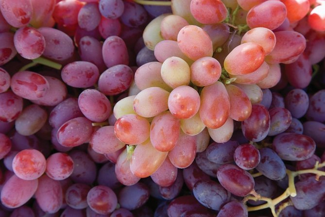 Amador County Wine Tasting Tours max 14 pax Private Wine Tours - Who Will Most Enjoy This Tour