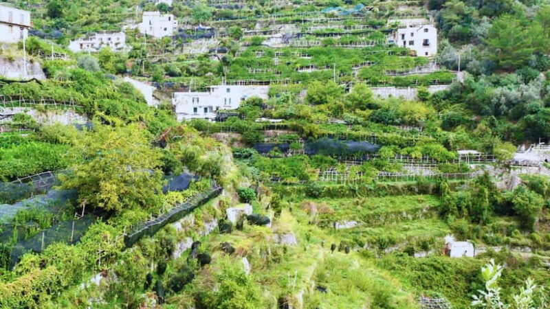 Amalfi Coast: Hike Along the Path of the Lemons - Logistics and Practical Tips