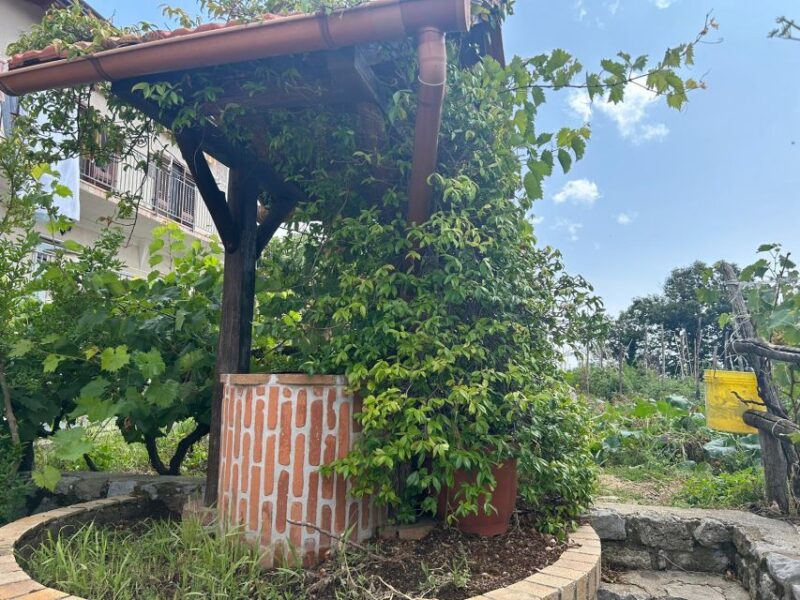 Amalfi Coast: Italian Dinner in Acampora's Farm - Practical Details and Booking Information