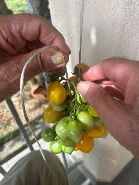 Amalfi Coast: Italian Dinner in Acampora's Farm - Frequently Asked Questions